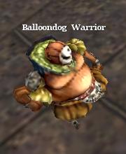 Balloondog Warrior